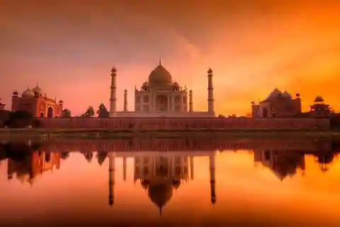 Da Delhi: Tour dell'alba del Taj Mahal con conservazione degli elefanti