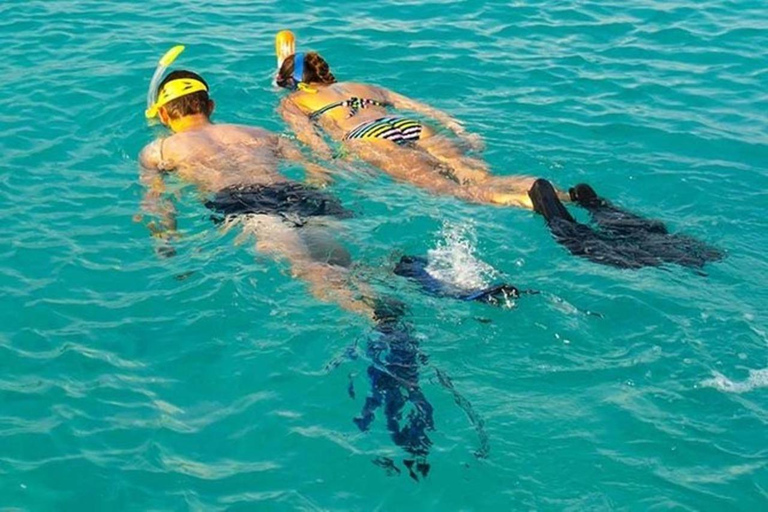 Village de Matemwe : Excursion d&#039;une demi-journée pour faire de la plongée en apnée sur l&#039;île de Mnemba