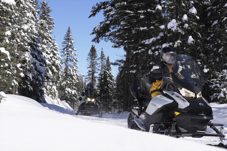 Mont-Tremblant Area: Guided Snowmobile Tour Solo Snowmobile Adventure 1.5 to 2 h (one-seater snowmobile)