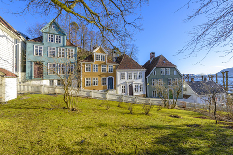 Bergen : Visite guidée en voiture avec le musée de la vieille ville de Bergen et Fantoft ...