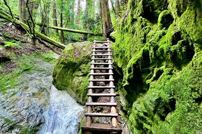 CUSTOM PHOTO ADVENTURES TO THE BAY AREA'S MOST EPIC SCENERY 6-HOUR PHOTO ADVENTURE TO THE BAY AREA'S MOST EPIC SCENERY