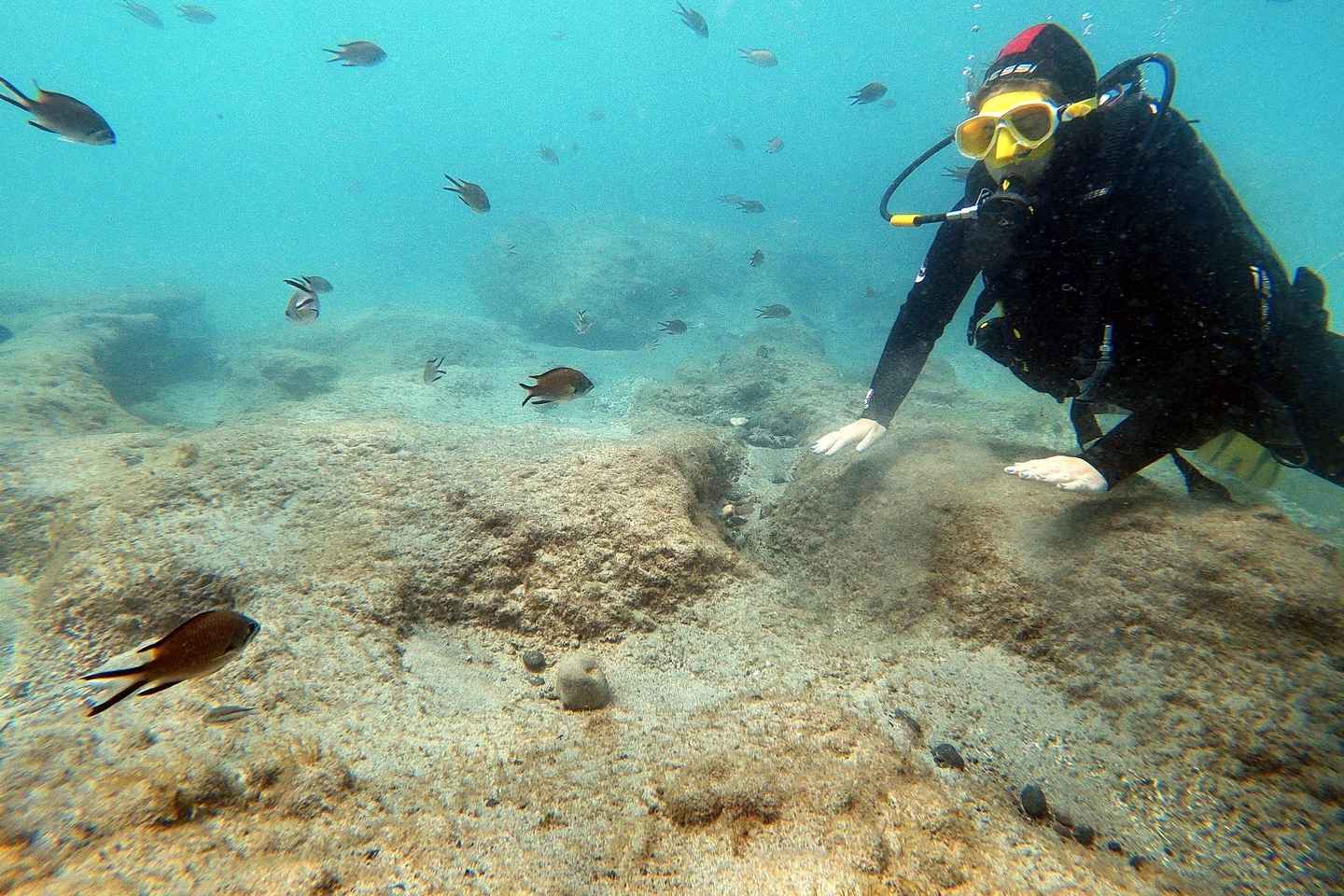 Fuerteventura : Initiez-vous à la plongée sous-marine