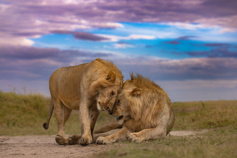 Zanzibar: 3-Day Mikumi National Park Safari with Free Pickup