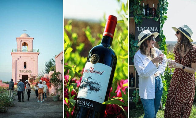 Pisco Route | Tasting | Desert Experience