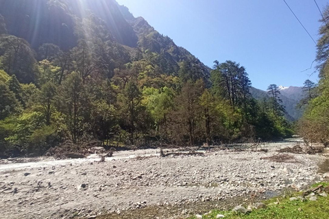 Från Katmandu: 7-dagars vandring i Langtangdalen