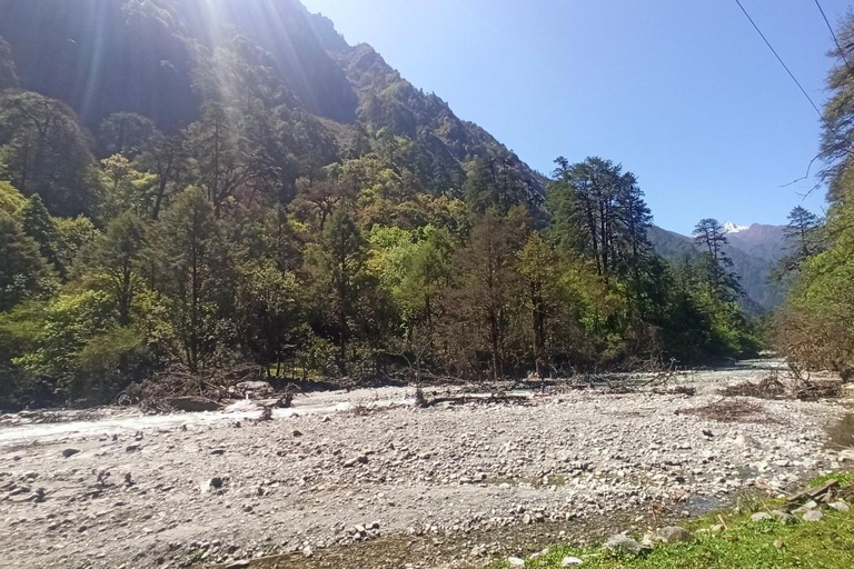 Från Katmandu: 7-dagars vandring i Langtangdalen