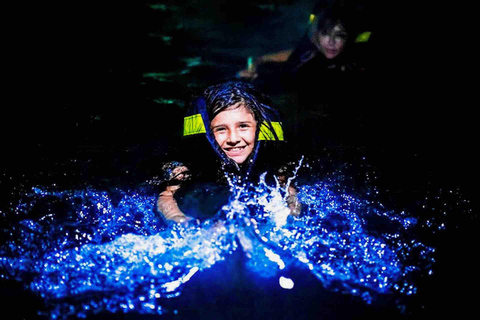 Excursão de bioluminescência - Bocas del Toro