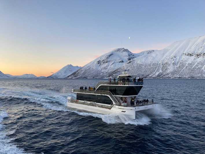 Tromsø: Arctische Fjordencruise met een hybride-elektrische catamaran