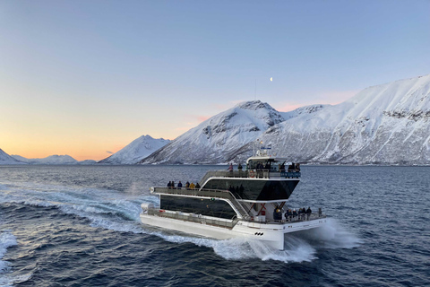 Tromsø: boottocht in fjord met hybride-elektrische catamaranTromsø: boottocht in fjord met elektrische catamaran