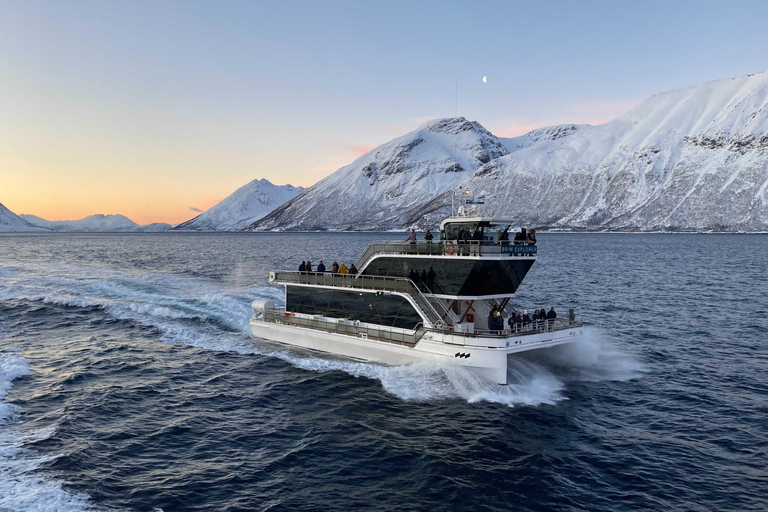 Tromsø: boottocht in fjord met hybride-elektrische catamaranTromsø: boottocht in fjord met elektrische catamaran