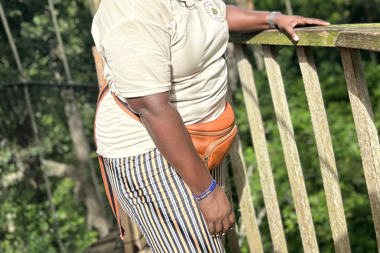 "Ghana Unveiled: Esplora il cuore dell'Africa occidentale" in 7 giorni."Ghana svelata: scopri il cuore dell'Africa occidentale" .