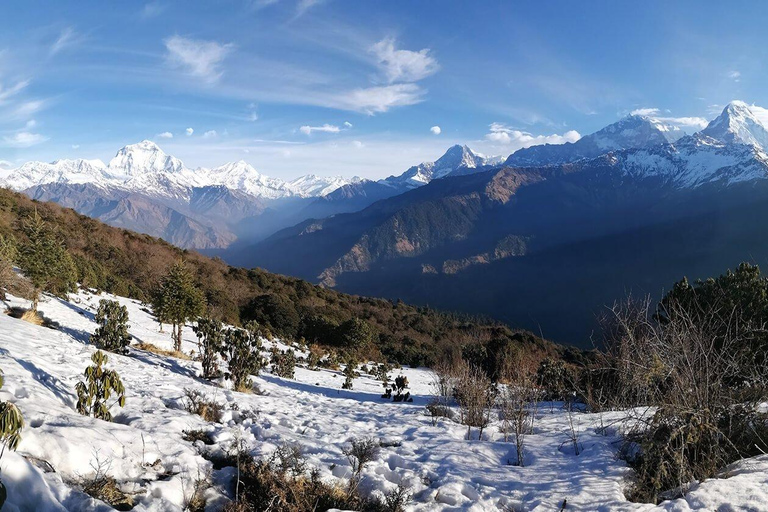 Pokhara: Caminhada fácil de 5 dias para Ghandruk e Ghorepani