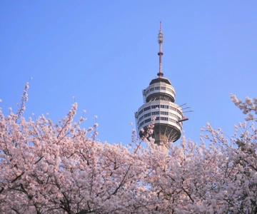 Daegu: Private Taxi Tour Car Charter