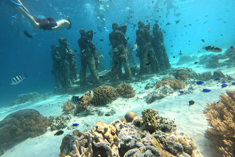 Ozzy Snorkeling 3 Islands Visit Baby Turtles