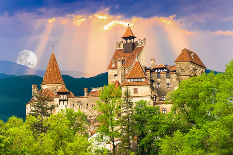 From Bucharest: Brasov Christmas Market & Dracula's Castle