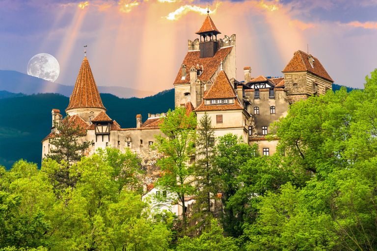 From Bucharest: Brasov Christmas Market & Dracula's Castle