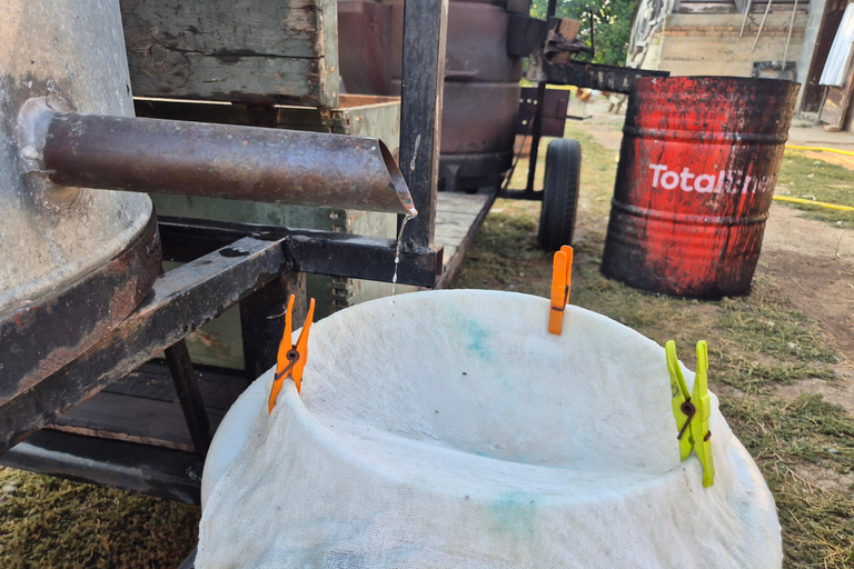 From Belgrade: Rakija-Making Experience with Lunch