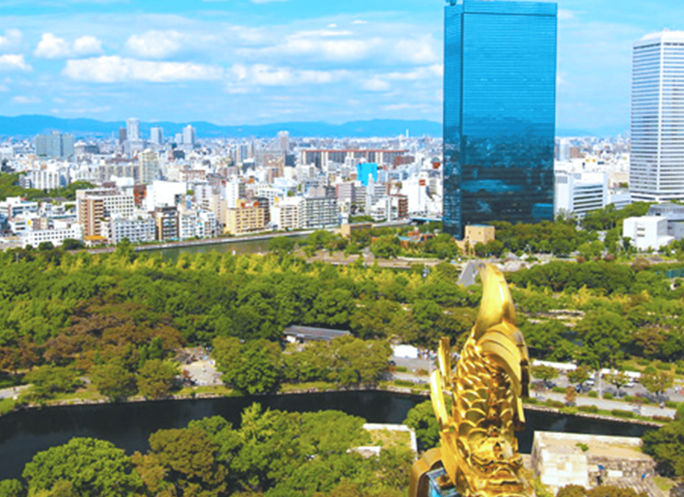 Osaka: Entré til slotstårnet / guidet byvandring