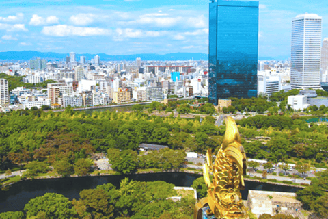 Osaka Castle: History Walking Tour, Castle Tower Admission