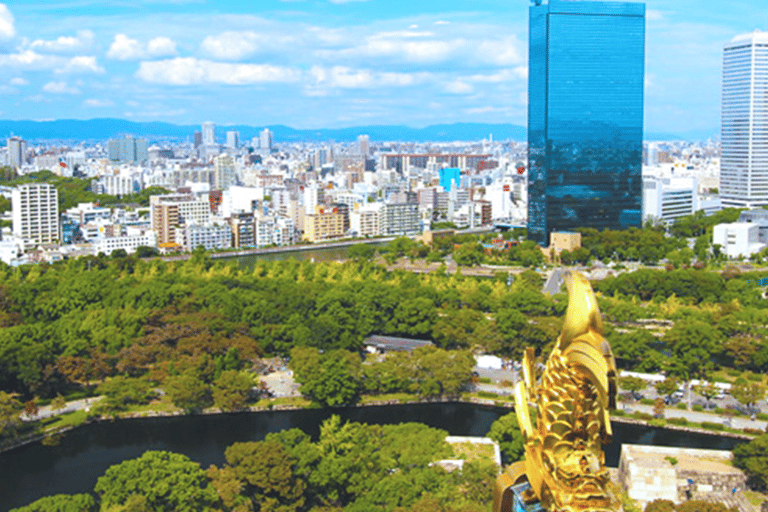 Osaka Castle: History Walking Tour, Castle Tower Admission