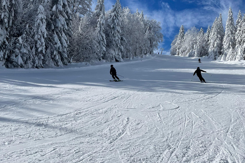 Guided ski tours in the Bavarian Forest