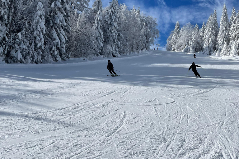 Guided ski tours in the Bavarian Forest