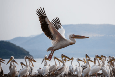 8 Days From Addis Ababa: Omo Valley Cultural & Tribal Tour