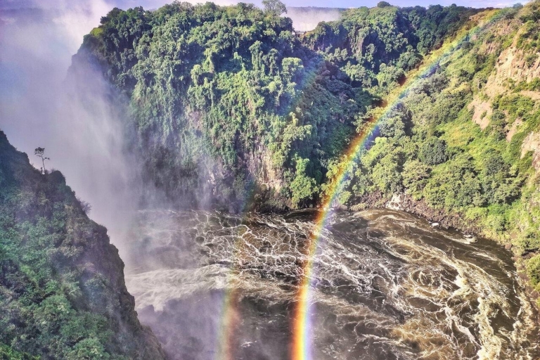 Cataratas Victoria: Tour guiado por las poderosas CataratasFinal abierto en rainforest cafe