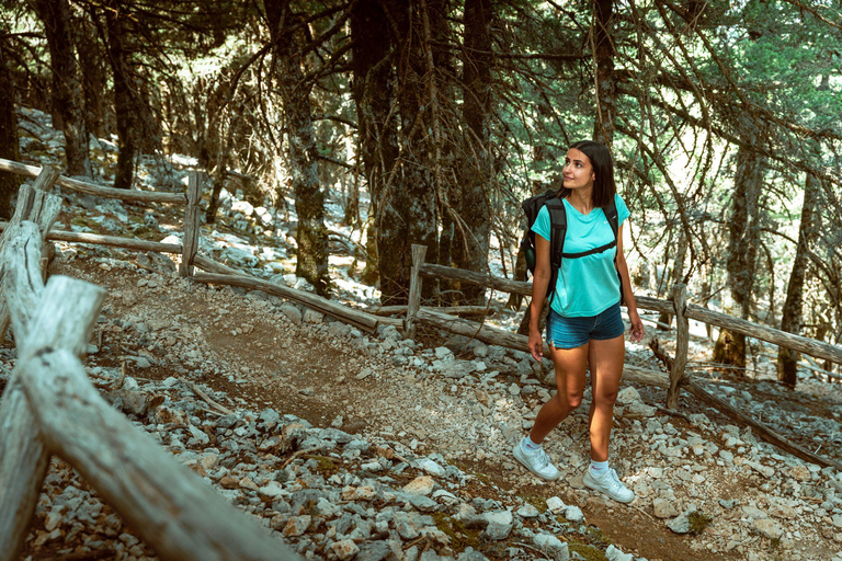 Kefalonia Ainos Premium 4x4 Van Experience Pick-up from Argostoli, Lassi, Svoronata, Lourdata Areas