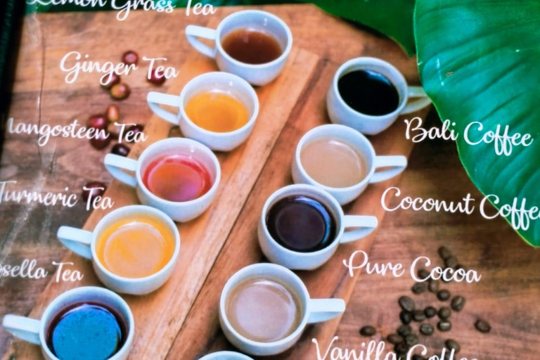 Bali: Serenity Sacred Tirta Empul, Rice Fields & Coffee