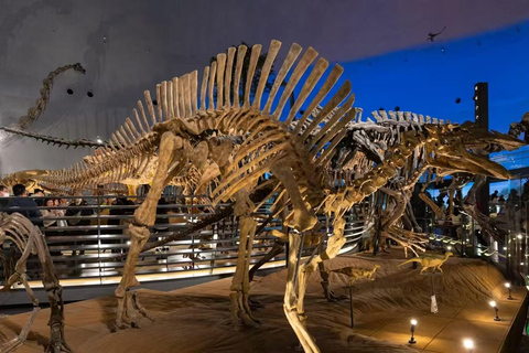 Fukui: Dinosaur Museum Ticket & Digital Family Guide