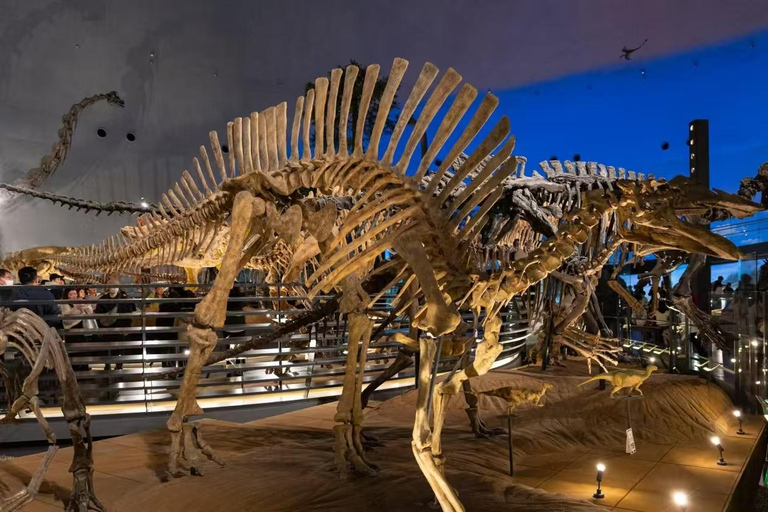 Fukui: Dinosaur Museum Ticket & Digital Family Guide