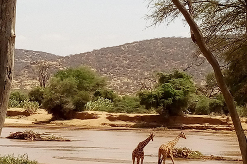 Lake Nakuru National park day trip