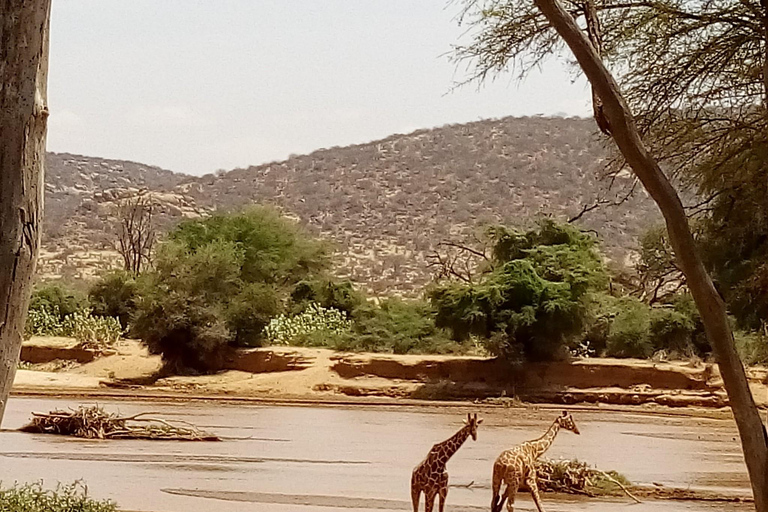 Lake Nakuru National park day trip