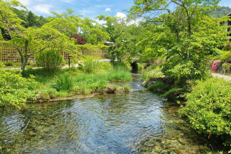 Mt. Fuji & Hakone Tour: Arakurayama, OshinoHakkai, Owakudani Tokyo Station | 7:30 AM Departure with English Guide