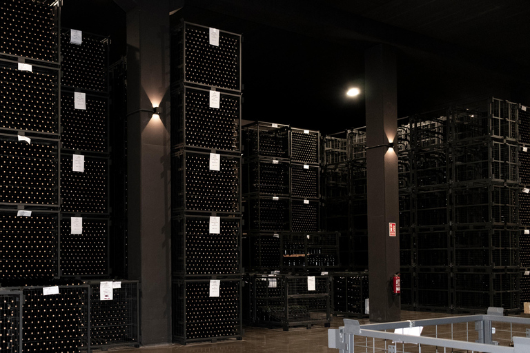 La Rioja: CM Matarromera Winery Tour