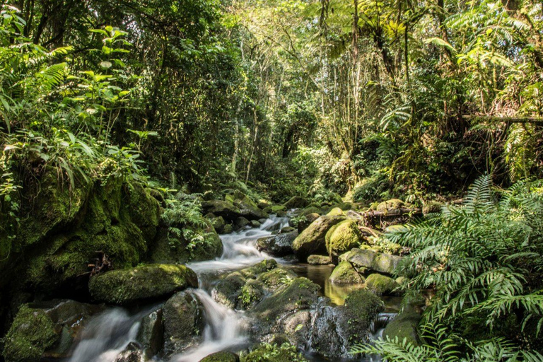 THREE (3) DAYS UGANDA GORILLA SAFARI WITH LAKE BUNYONYI.