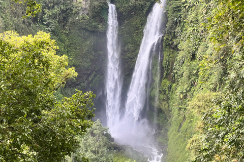 Jakarta: Regenwaldwanderung zu Wasserfall und HängebrückeKurze Wanderung (1,5 km)