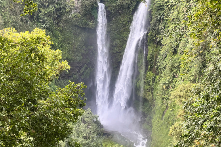 Jakarta: Regenwaldwanderung zu Wasserfall und HängebrückeKurze Wanderung (1,5 km)