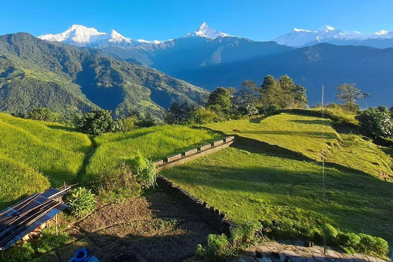 Explore the easiest trek of Nepal: Poon Hill Trek in 7 days