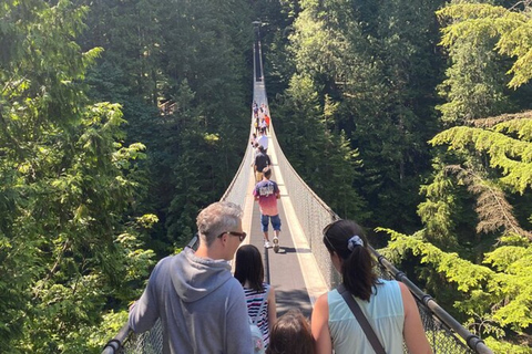 Vancouver Capilano Canyon luz e pico do Natal em Grouse