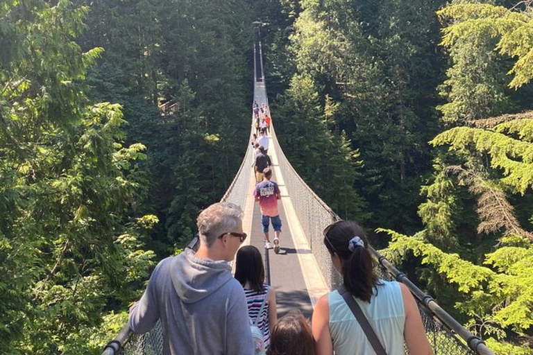 Vancouver Capilano Canyon ljus&amp;topp av julen i Grouse