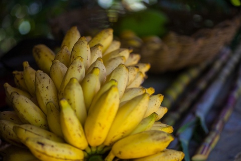 Itacaré: Maraú - 5-Day Silence and Purification Retreat