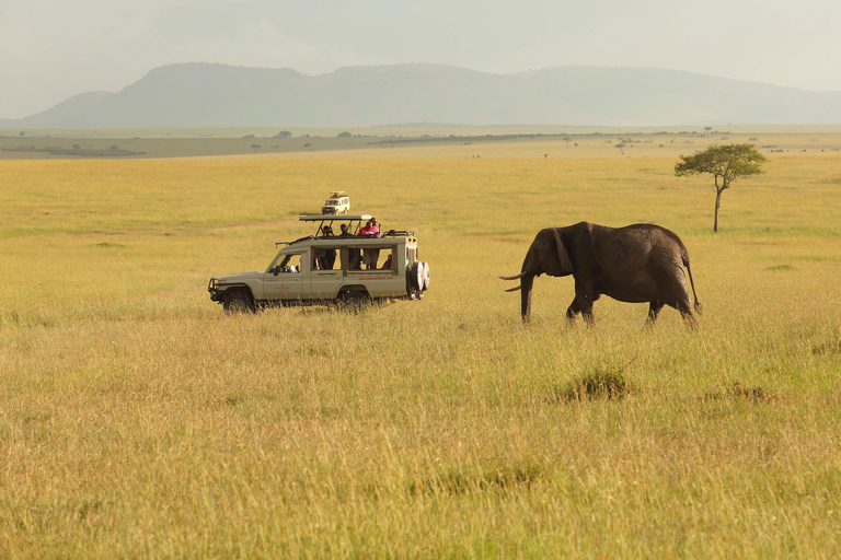 10-Day Private Safari and Diani Beach Tour