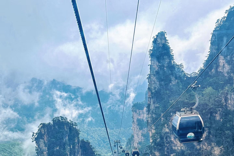 Zhangjiajie: National Forest Park Private Day Tour