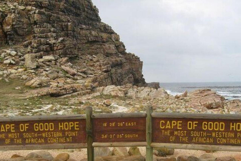 Cape of Good Hope and Boulders Beach Private Tour