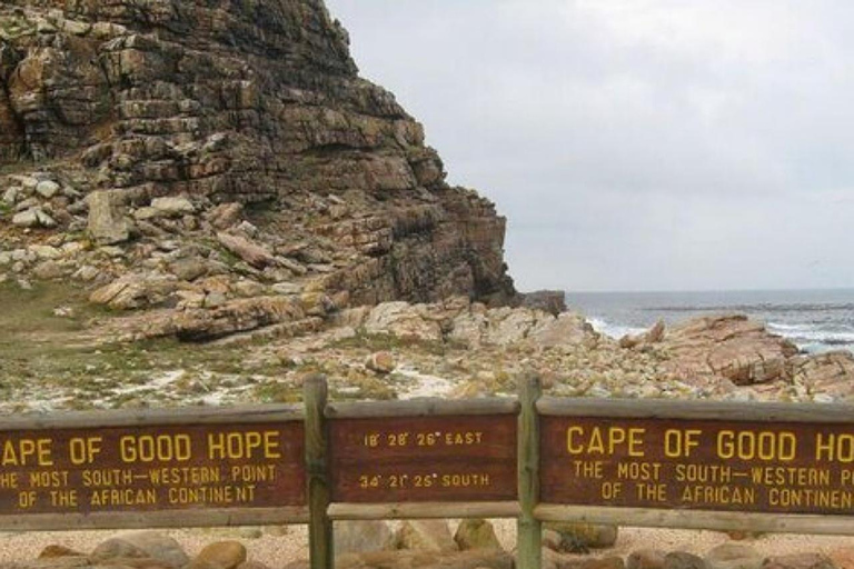 Visite privée du Cap de Bonne Espérance et de la plage de BouldersVisite privée du Cap de Bonne Espérance et de la plage des Boulders