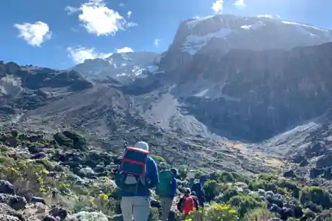 Kilimanjaro: Caminhada de 7 dias na Rota Lemosho