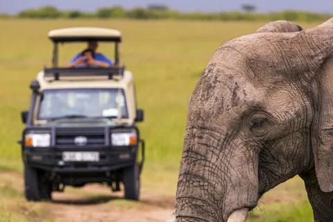 Sri Lanka Tour privato di 5 giorni in campagna Auto, hotel, cibo