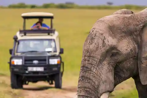 Sri Lanka 5-Day Private Country Side Tour Car, Hotels, Food